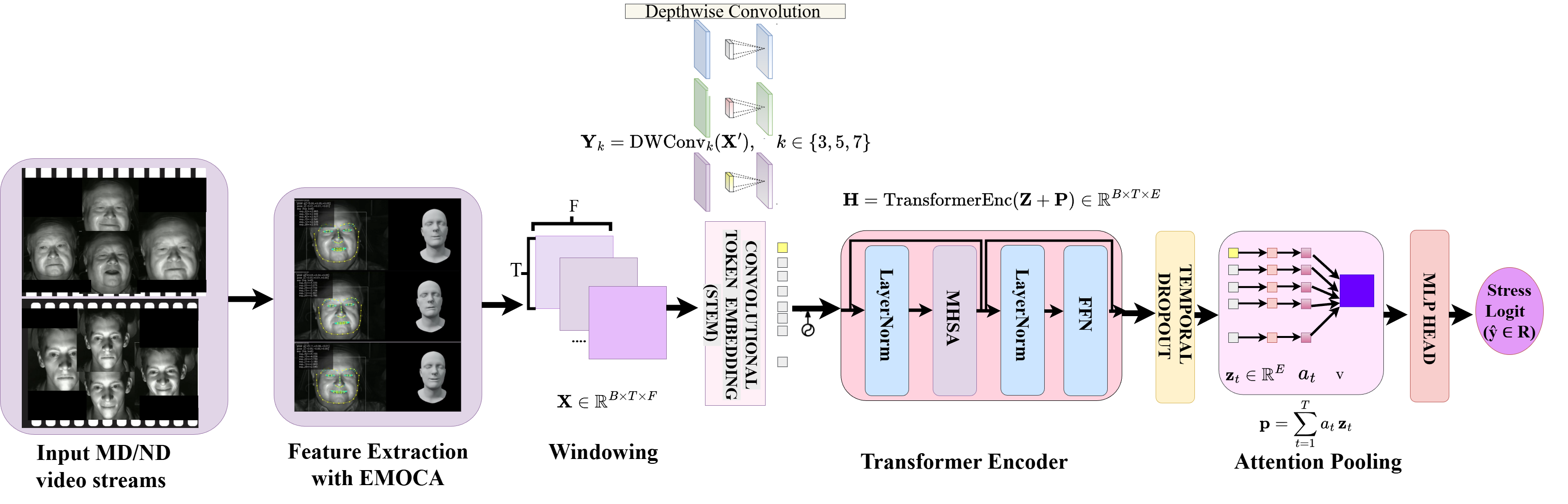 Conceptual framework