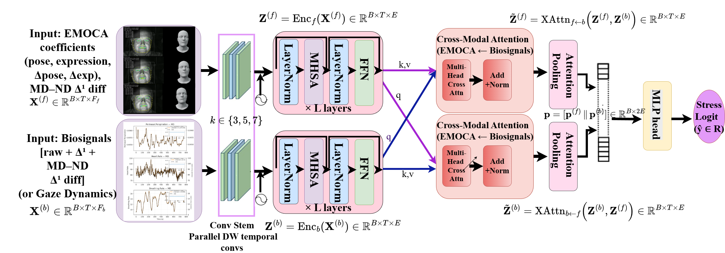 Cross-modal attention fusion
